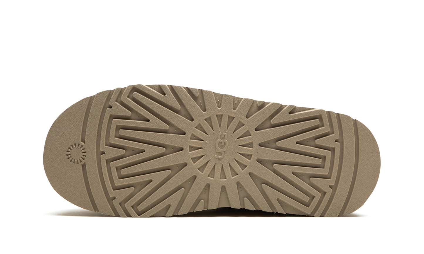 UGG Tazz Slipper Mustard Seed (Women's)