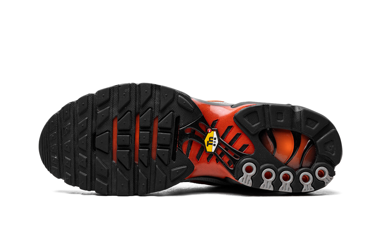 Nike Air Max Plus Wolf Grey Picante Red