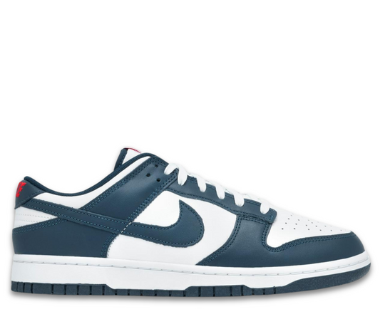 Nike Dunk Low Valerian Blue