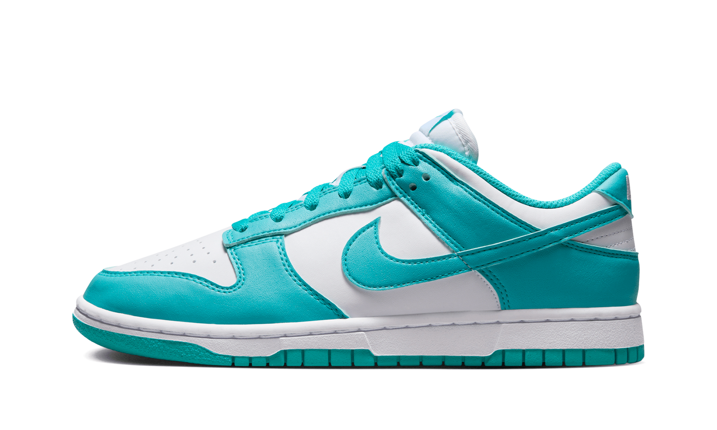 Nike Dunk Low Next Nature Dusty Cactus (Women's)