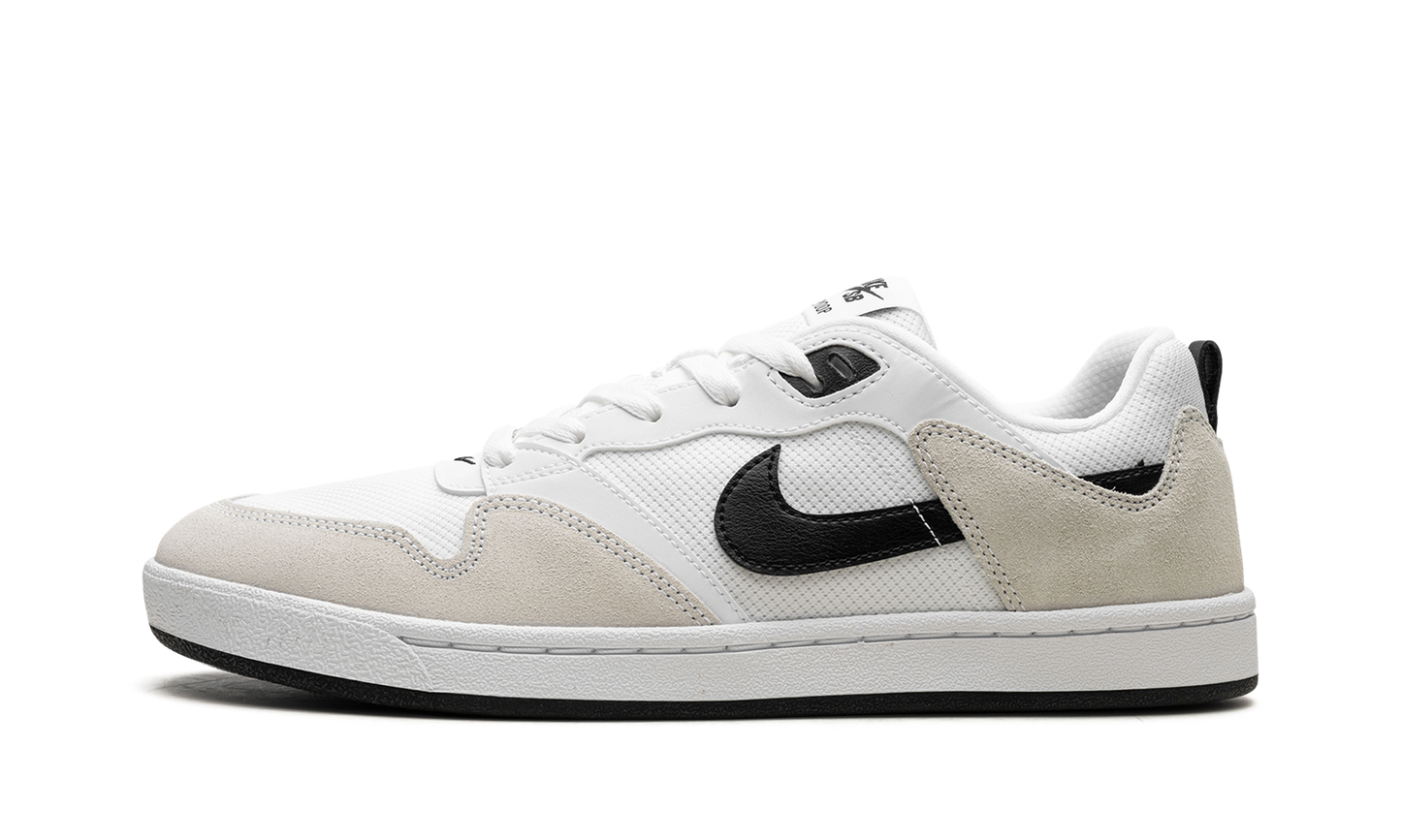 Nike Sb Alleyoop White
