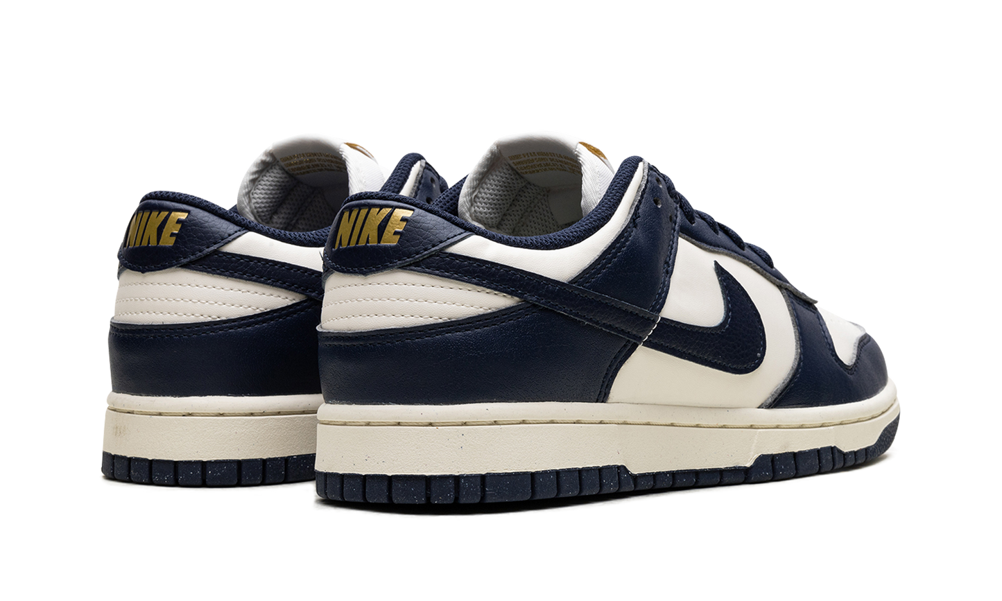 Nike Dunk Low Next Nature Olympic (Women's)